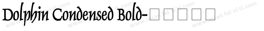 Dolphin Condensed Bold字体转换